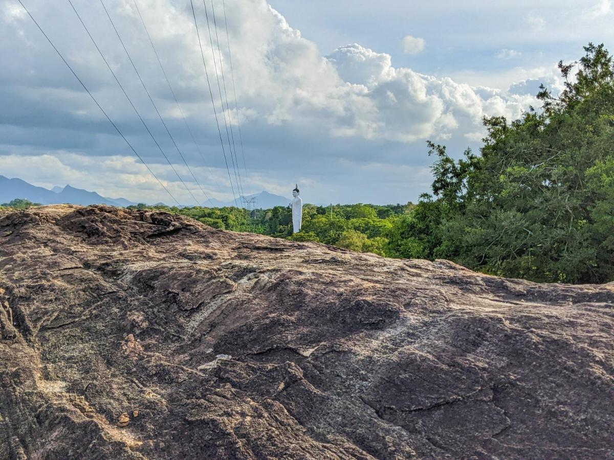 Choona Lodge 'View Of Sigiriya & Pidurangala With Sunrise' エクステリア 写真